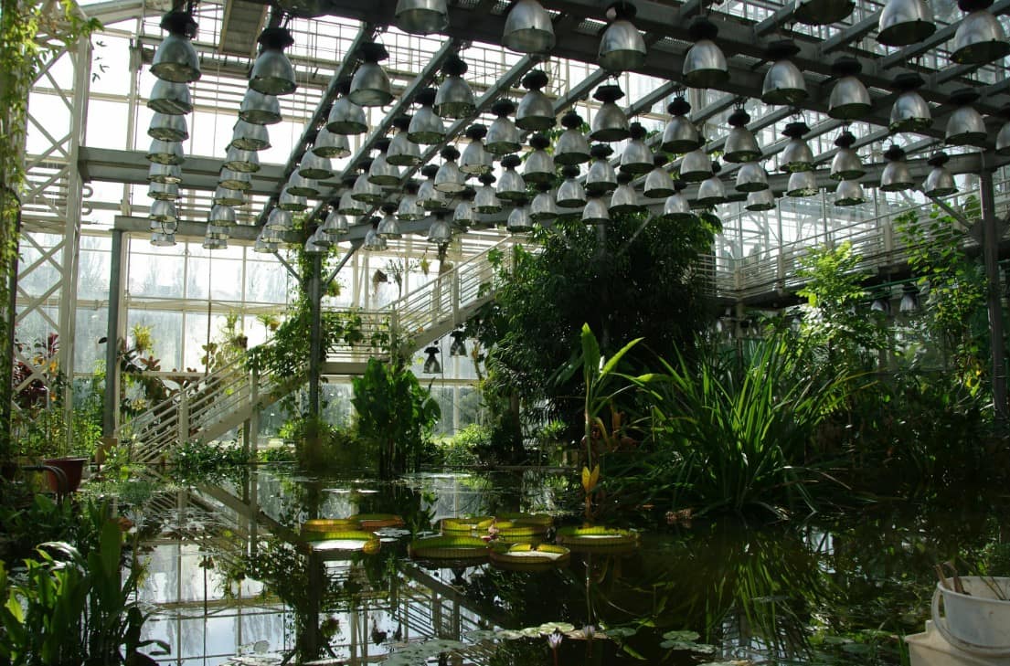 главный ботанический сад в Москве